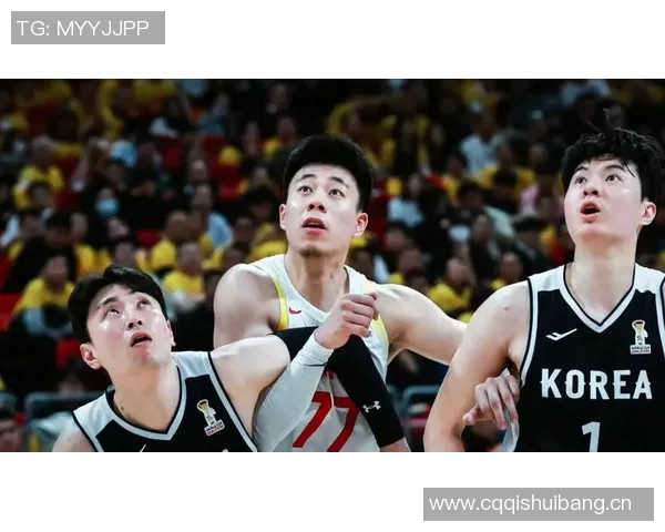 CBA赛季球队进攻端战术多样性探讨